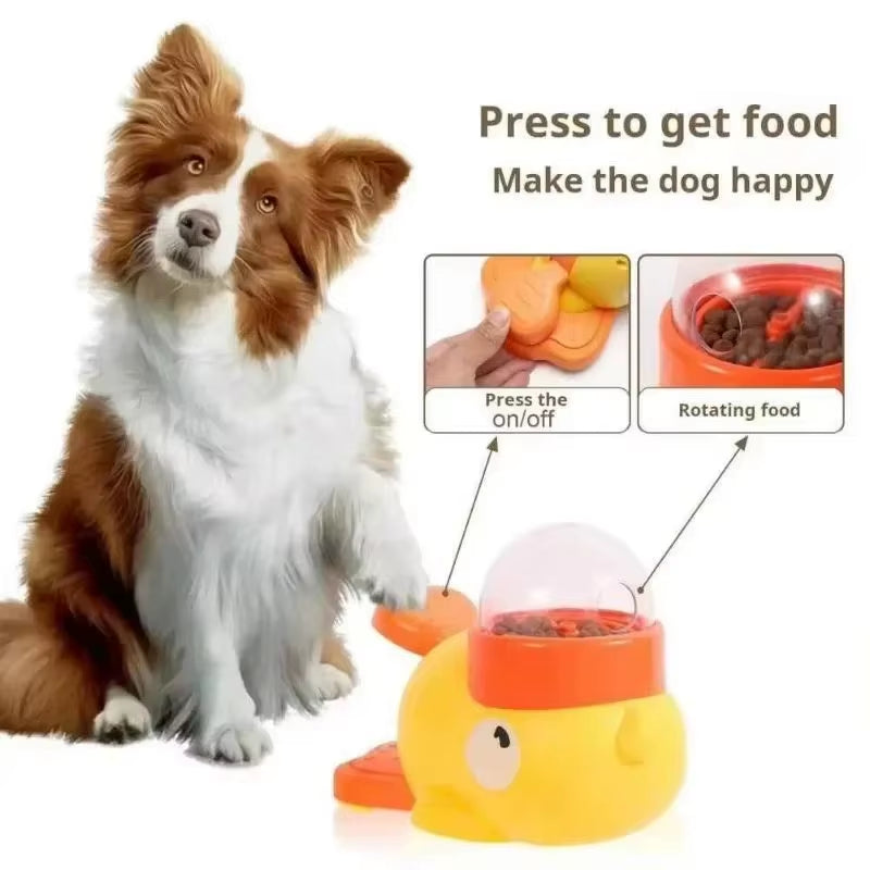 Border collie usando el pedal del comedero para conseguir comida