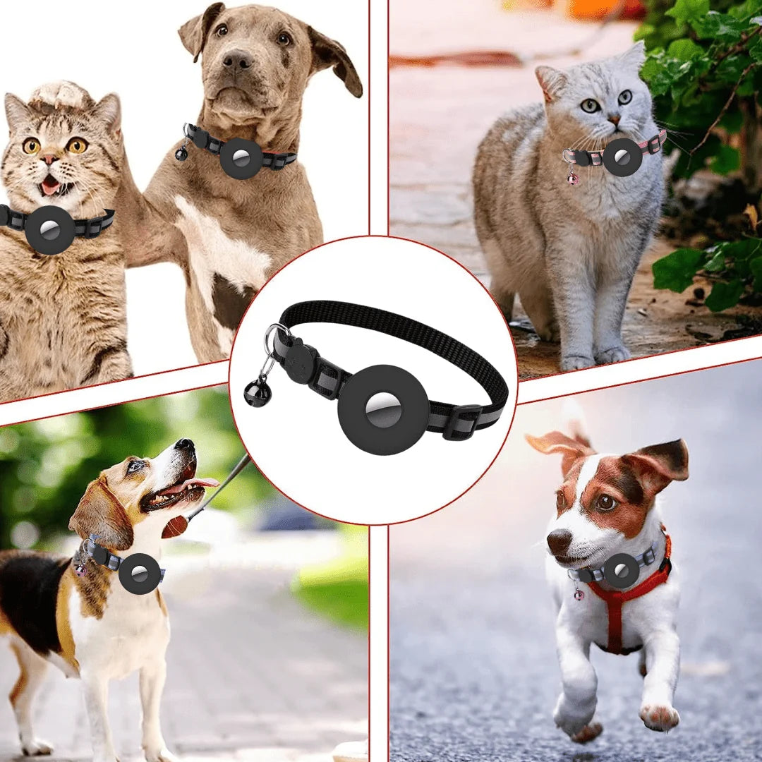 El collar con soporte AirTag puesto en gatos y en perros pequeños