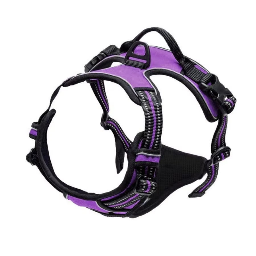 Arnés antitirón AMIKART en morado