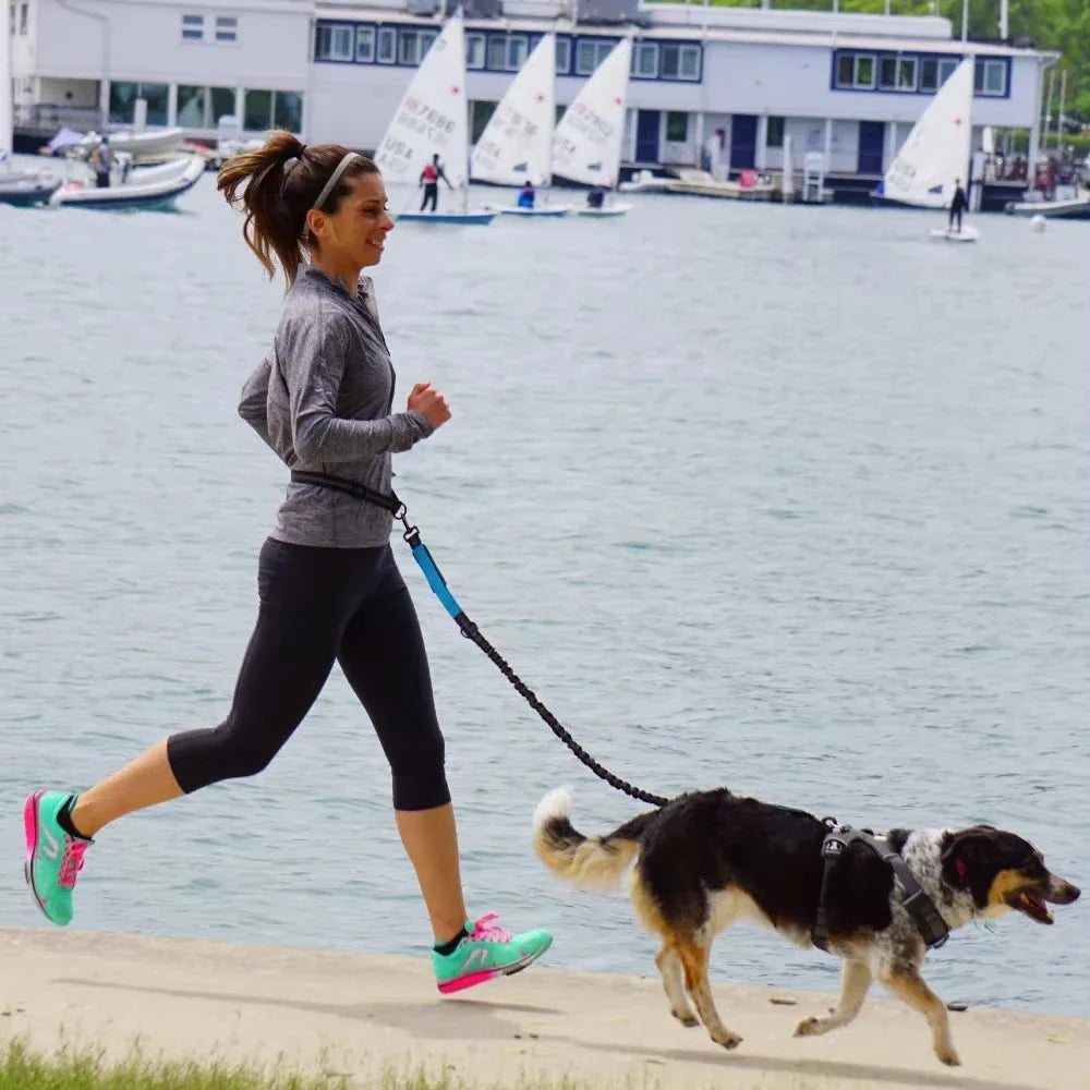 La correa manos libres del pack, puesta en la cintura mientras corre con el perro