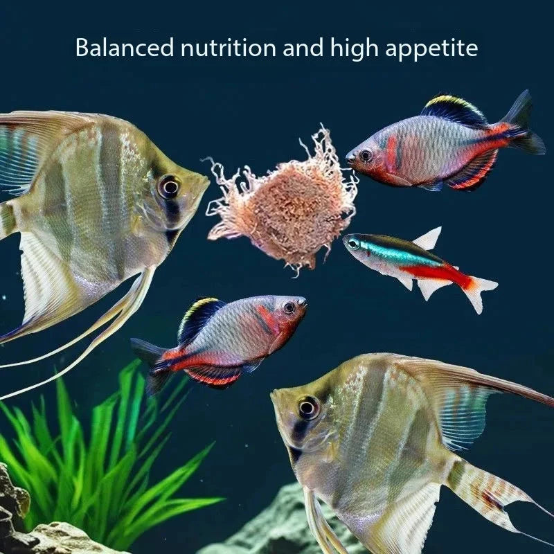 Peces de acuario comiendo un cubo de alimento liofilizado