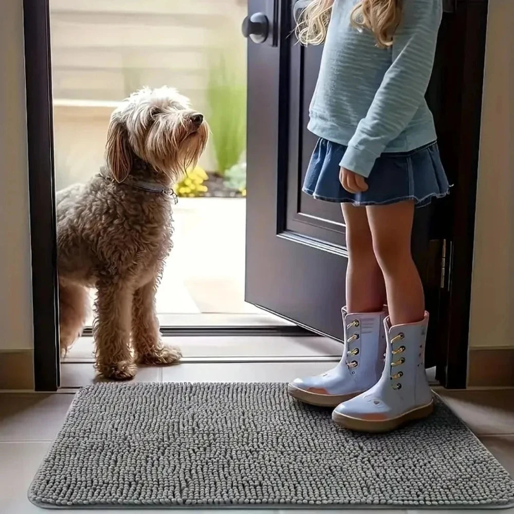 Perro esperando en la puerta sobre la alfombra absorbente de entrada