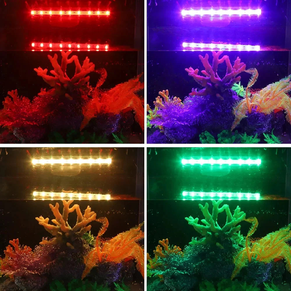 El acuario iluminado en rojo, morado, ámbar y verde