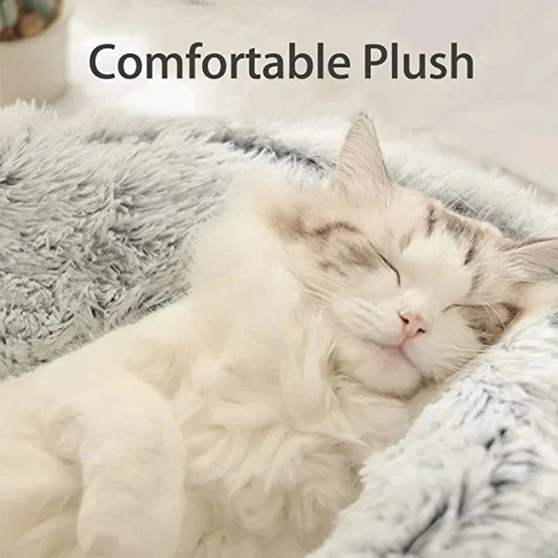 Gato durmiendo sobre el peluche de la cama cueva