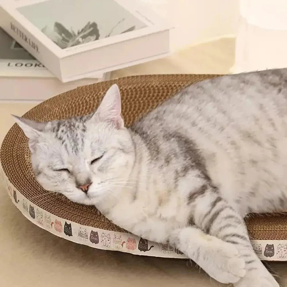 Gato atigrado durmiendo en el rascador de cartón junto a una estantería