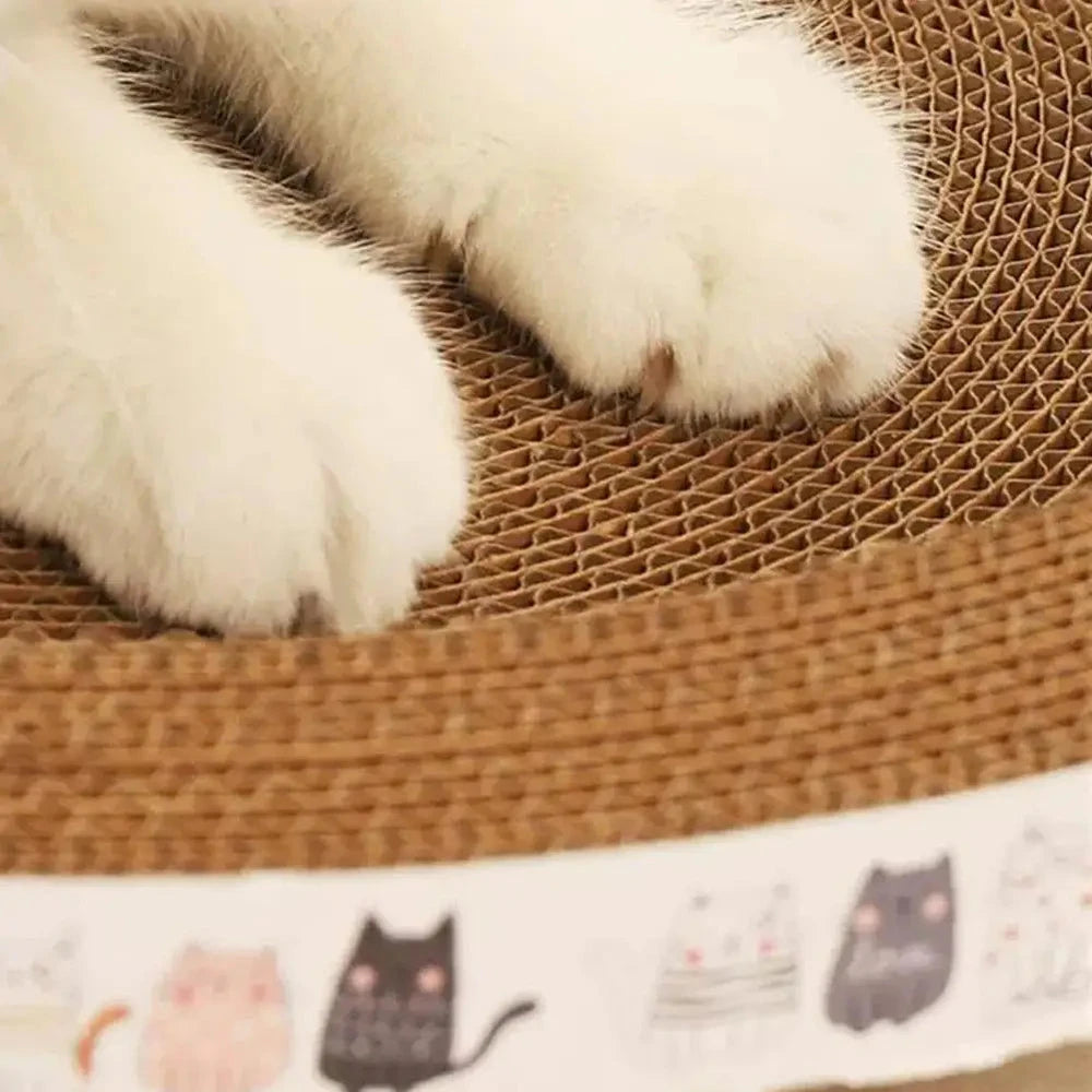 Detalle de las patas del gato sobre el cartón corrugado del rascador