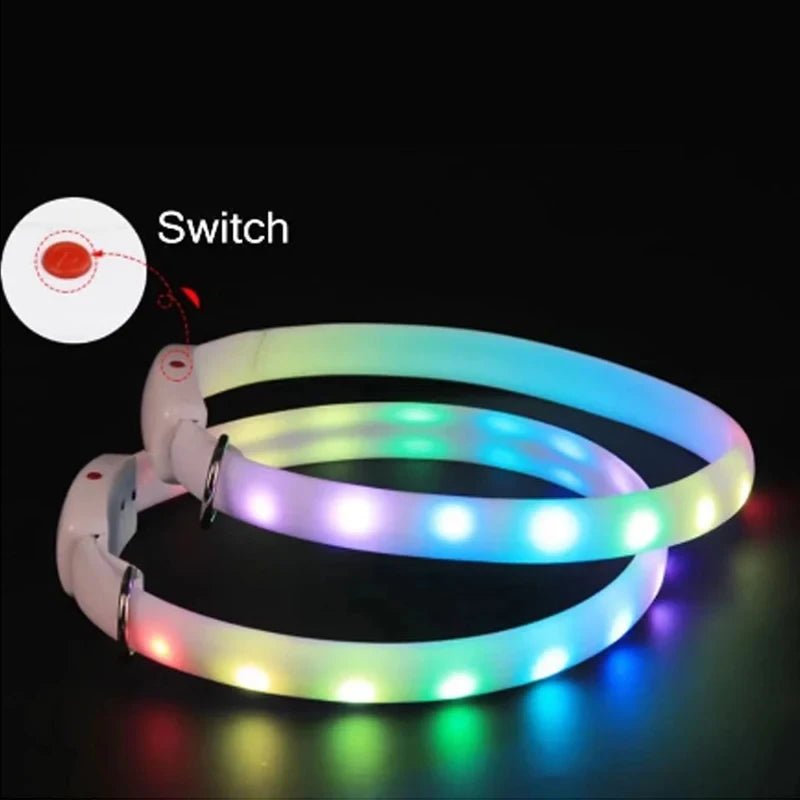 Dos collares LED encendidos, con el interruptor de encendido señalado