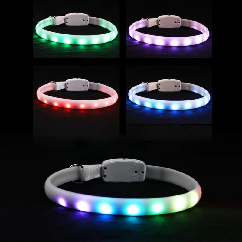 Cinco collares LED encendidos en verde, morado, rojo, azul y multicolor