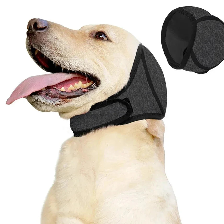 Orejeras antirruido AMIKART puestas a un perro