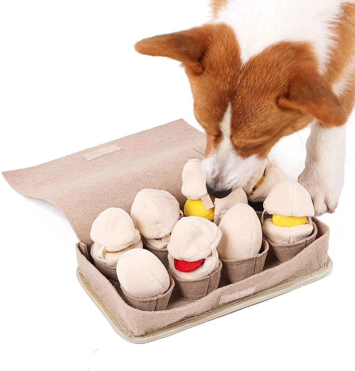 Perro buscando premios entre los huevos de peluche de la alfombra olfativa