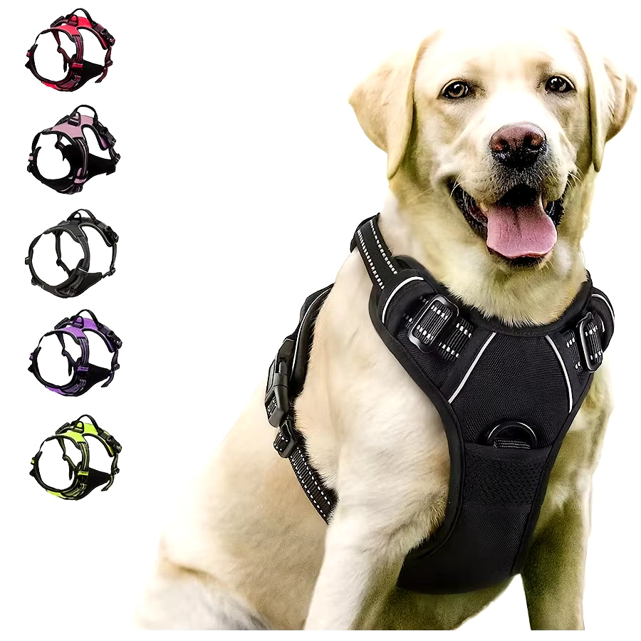 Labrador con el arnés antitirón AMIKART negro puesto, junto a los colores disponibles