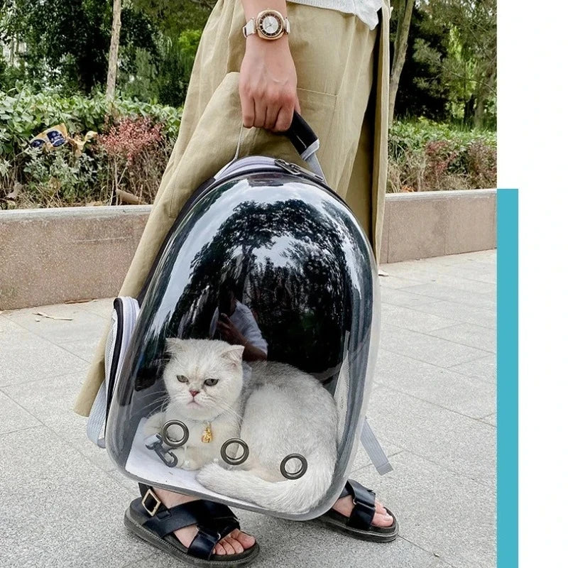 Mochila cápsula transparente llevada de la mano por la calle, con el gato dentro