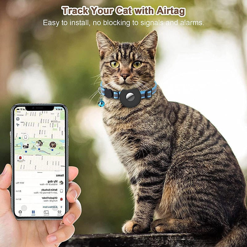 Gato con el collar AirTag localizado desde la aplicación Buscar del móvil