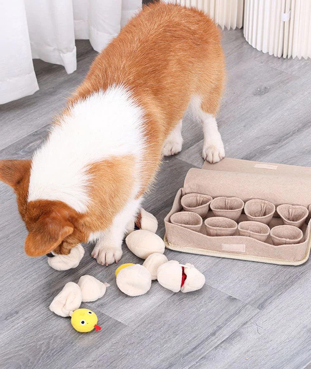 Perro sacando los huevos de la huevera de olfato