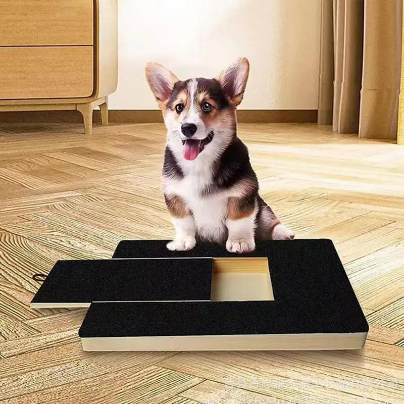 Tabla rascadora de uñas para perros colocada en el salón, con un corgi encima