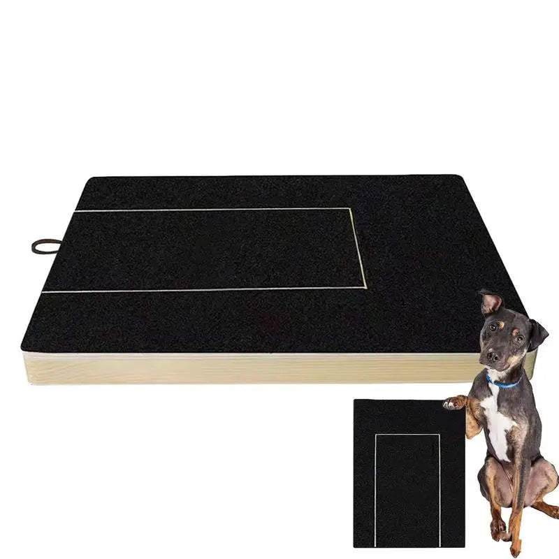 Tabla rascadora con la rampa de lija y la caja de premios, junto a un perro pequeño