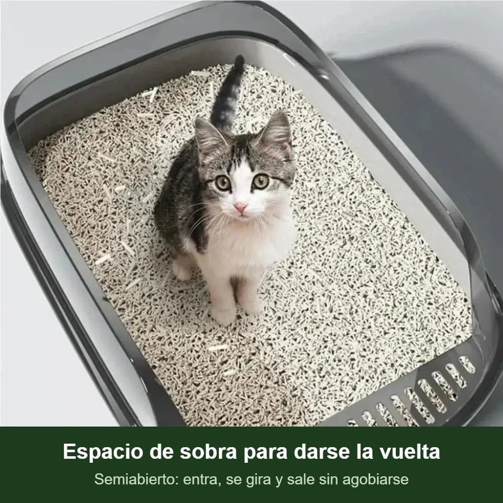 Gatito dentro del arenero con espacio de sobra para darse la vuelta