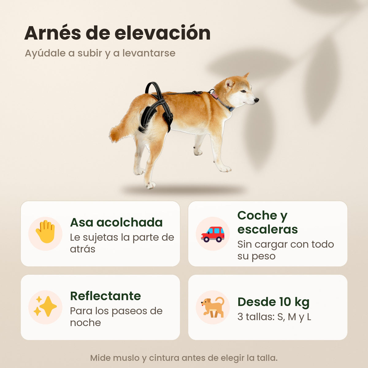 Arnés de elevación: asa acolchada, para el coche y las escaleras, reflectante y desde 10 kg en 3 tallas