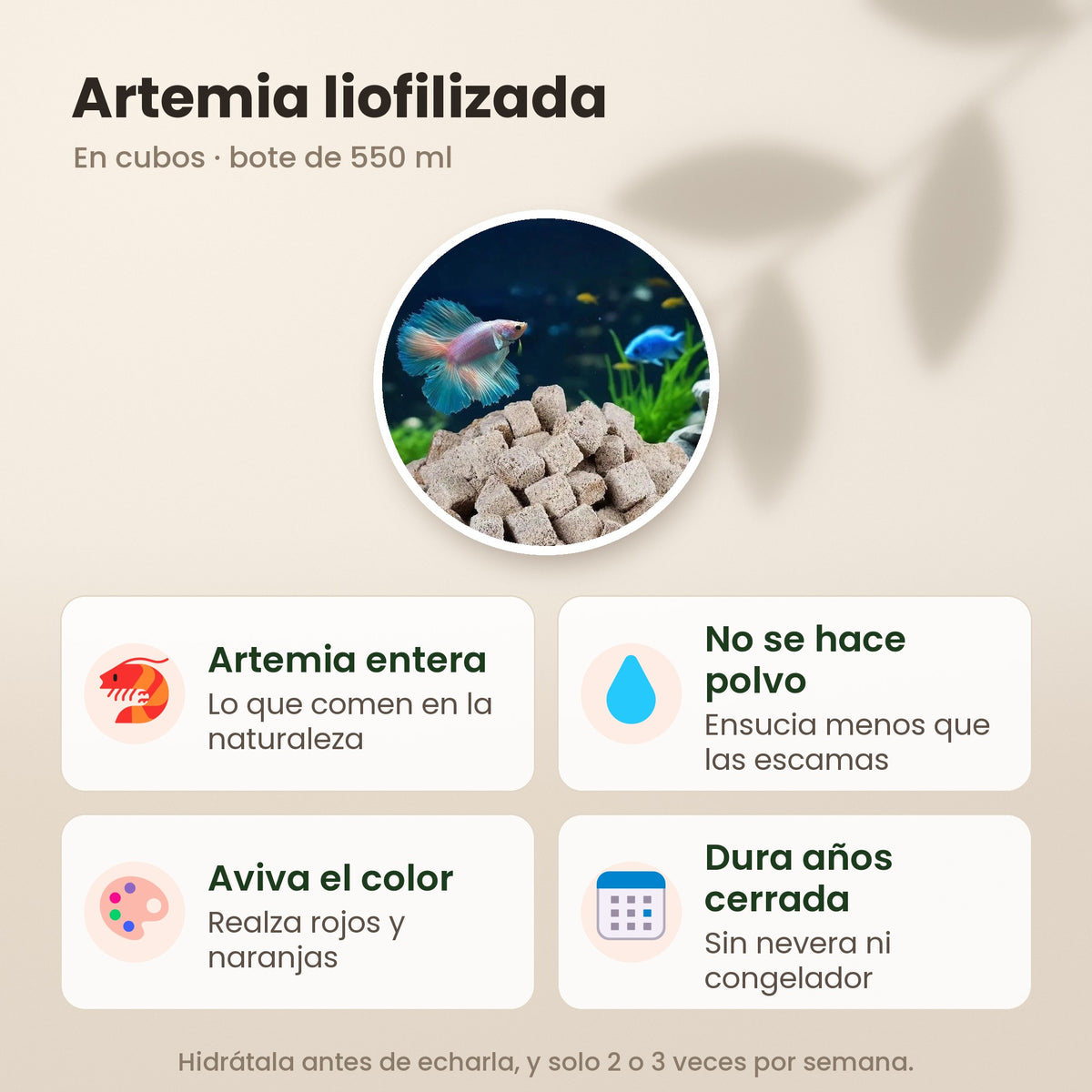 Artemia liofilizada en cubos: artemia entera, no se hace polvo, aviva el color y dura años cerrada