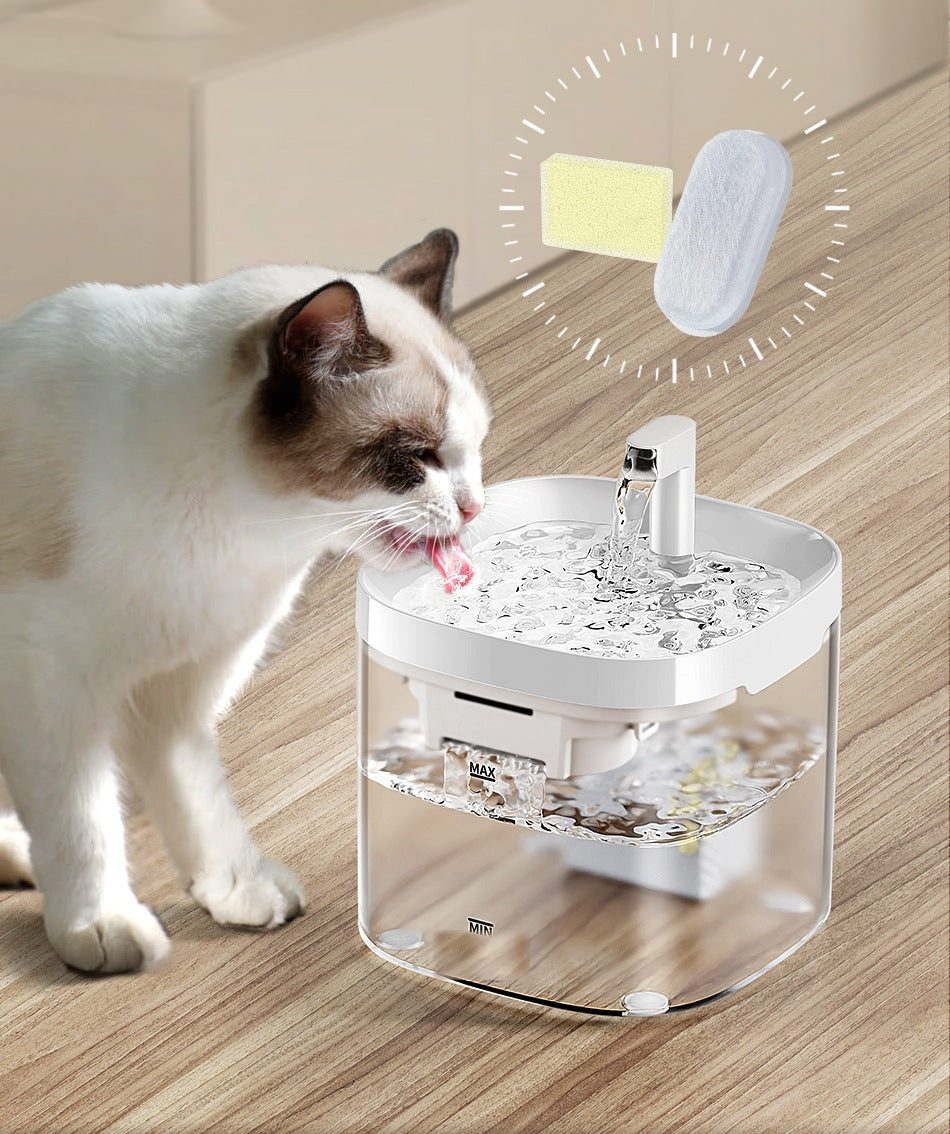 Gato bebiendo de la fuente tipo grifo de 1,5 L con el filtro y la esponja de recambio