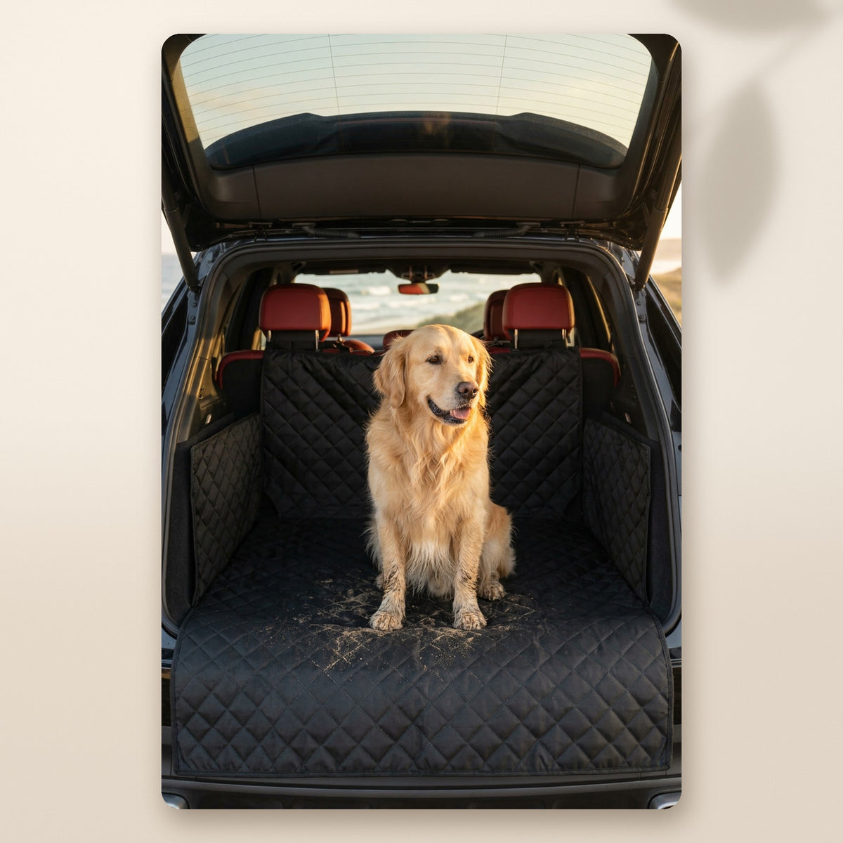 Golden retriever en el maletero con la funda protectora impermeable AMIKART