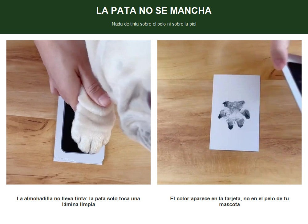 La pata no se mancha: la almohadilla no lleva tinta y el color aparece solo en la tarjeta