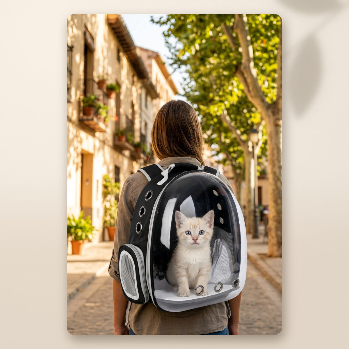 Gatito blanco dentro de la mochila cápsula transparente, de paseo por una calle de pueblo