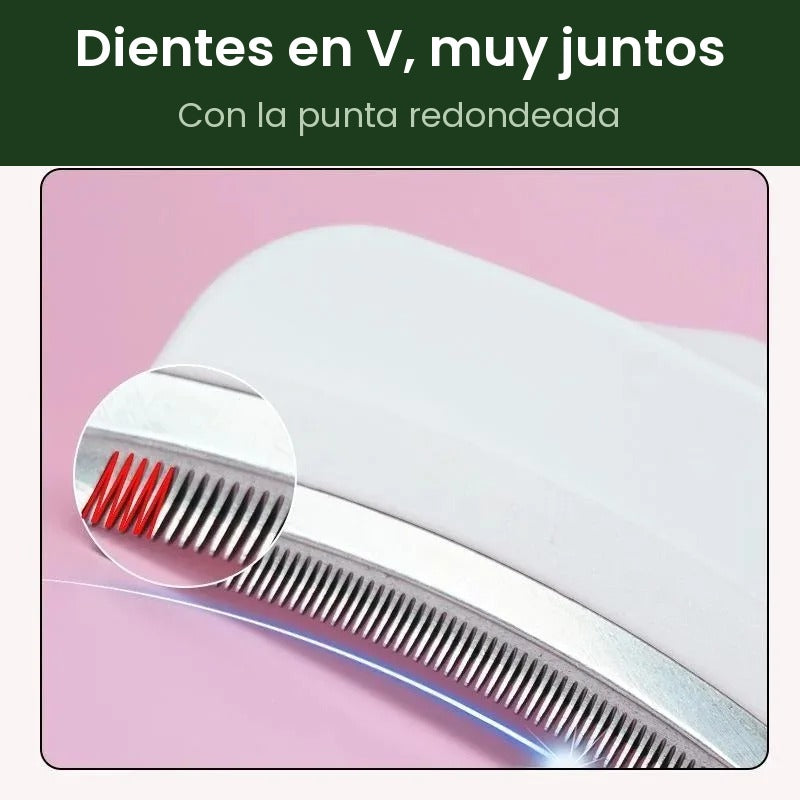 Dientes en V, muy juntos y con la punta redondeada