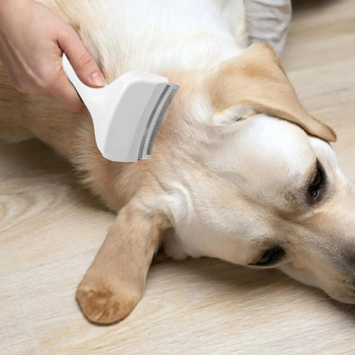 Peinando a un perro tumbado con el peine quitapelos