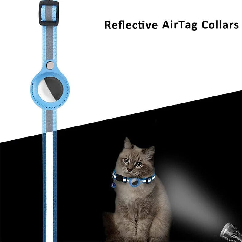 La banda reflectante del collar iluminada de noche