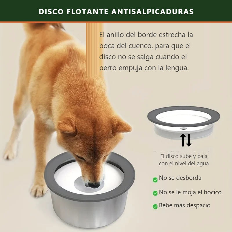 Perro bebiendo por el hueco del disco flotante, que evita que el agua salpique