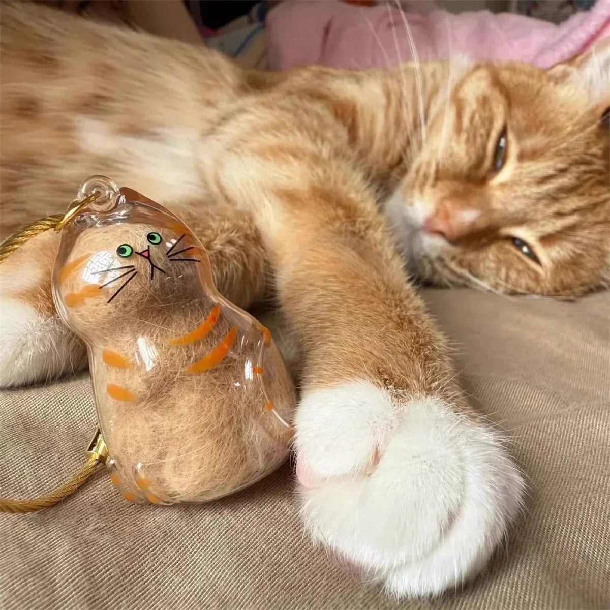 El frasquito lleno de pelo del gato, apoyado junto a un gato pelirrojo tumbado en el sofá