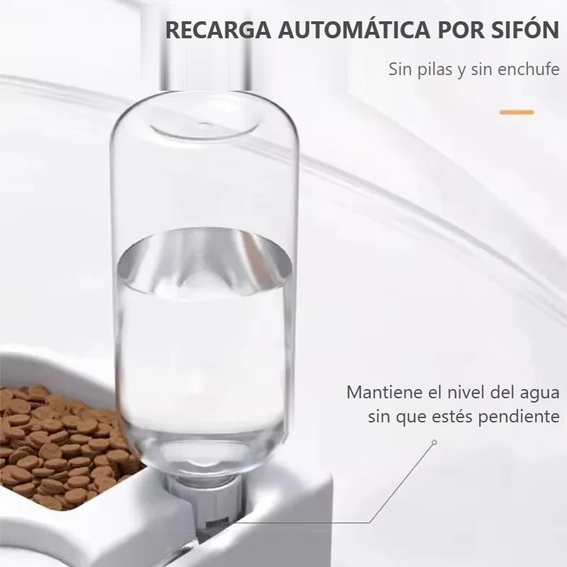 La botella repone el agua sola por sifón, sin pilas ni enchufe