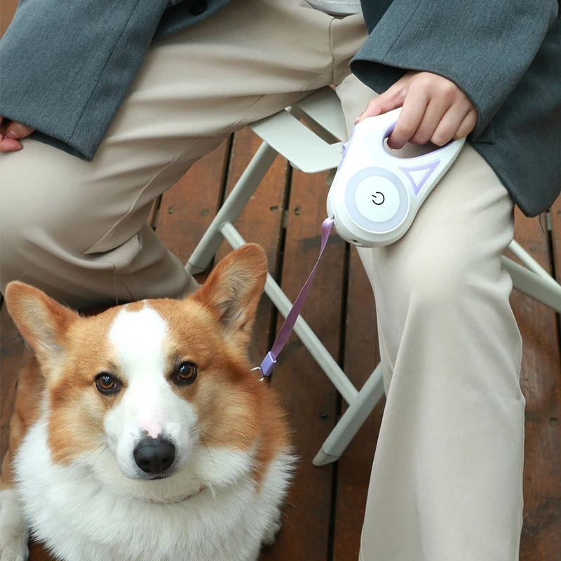 Corgi paseando junto a su dueño con la correa retráctil