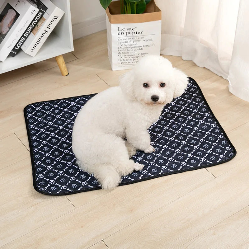 Perro bichón tumbado sobre el empapador lavable negro estampado