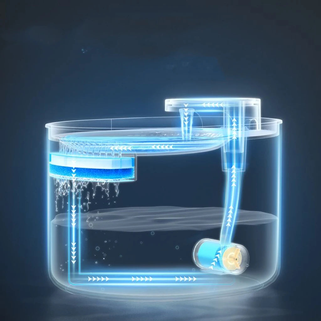 Esquema del circuito de agua y el filtro interior de la fuente