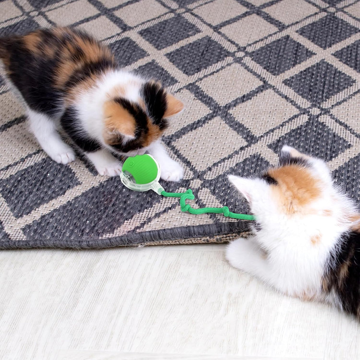 Dos gatitos persiguiendo la pelota automática verde sobre una alfombra