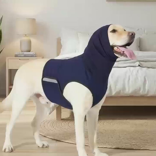 Chaleco antiestres puesto a un perro