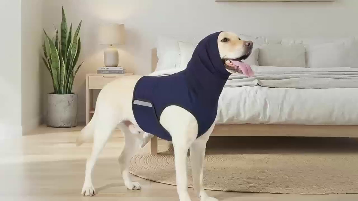 Chaleco antiestres puesto a un perro