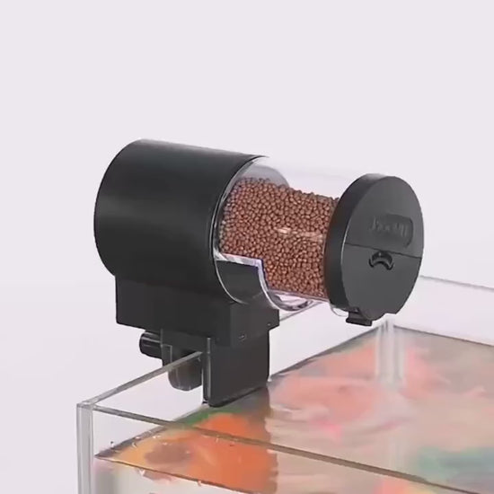 Comedero automatico de peces con temporizador en el acuario