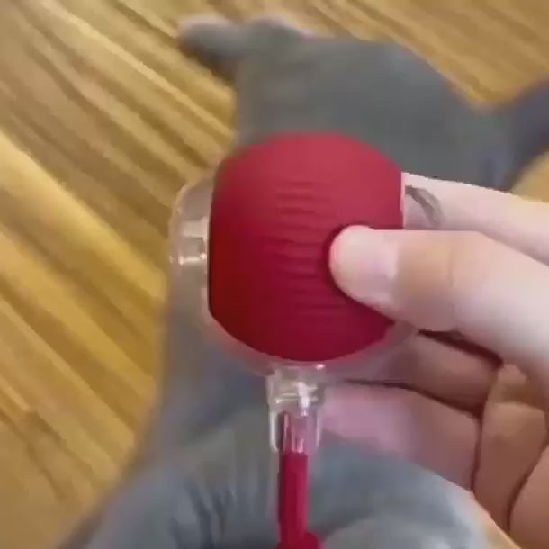 Pelota automática con cola moviéndose sola y un gato persiguiéndola