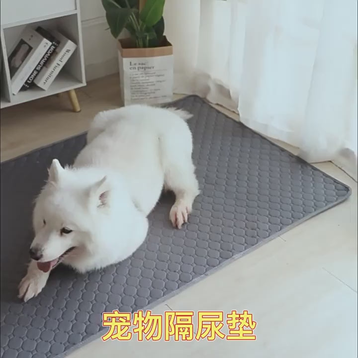 Empapador lavable para perros, absorcion y lavado