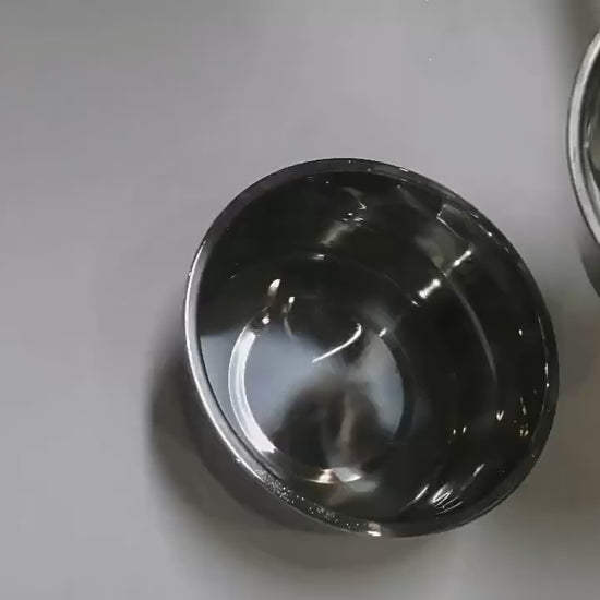 El perro empuja el disco flotante con la lengua y bebe sin salpicar