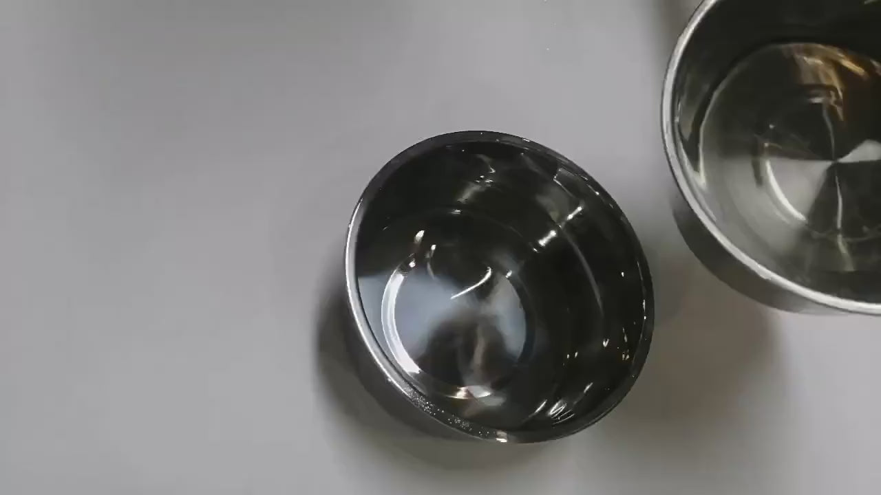 El perro empuja el disco flotante con la lengua y bebe sin salpicar