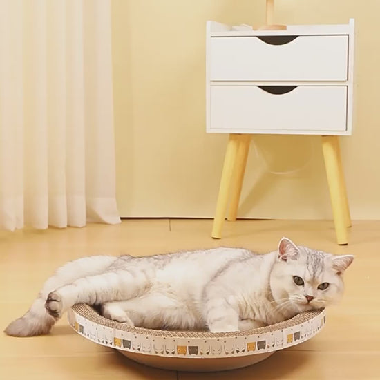 Gato tumbado en el rascador de carton