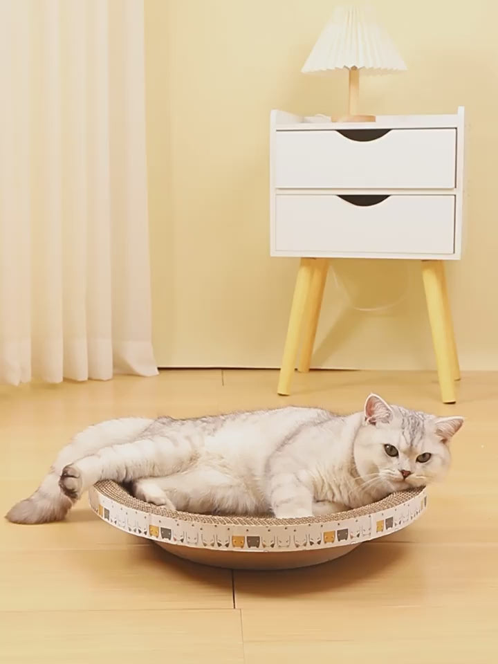 Gato tumbado en el rascador de carton