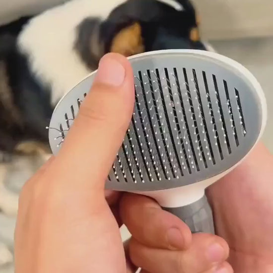 Cepillo autolimpiante cepillando a un perro