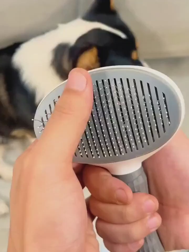 Cepillo autolimpiante cepillando a un perro