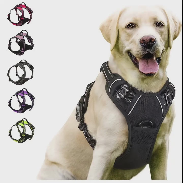 Arnes antitiron AMIKART puesto a un perro
