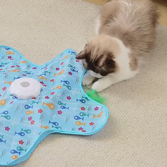 Gato jugando con el juguete en forma de estrella